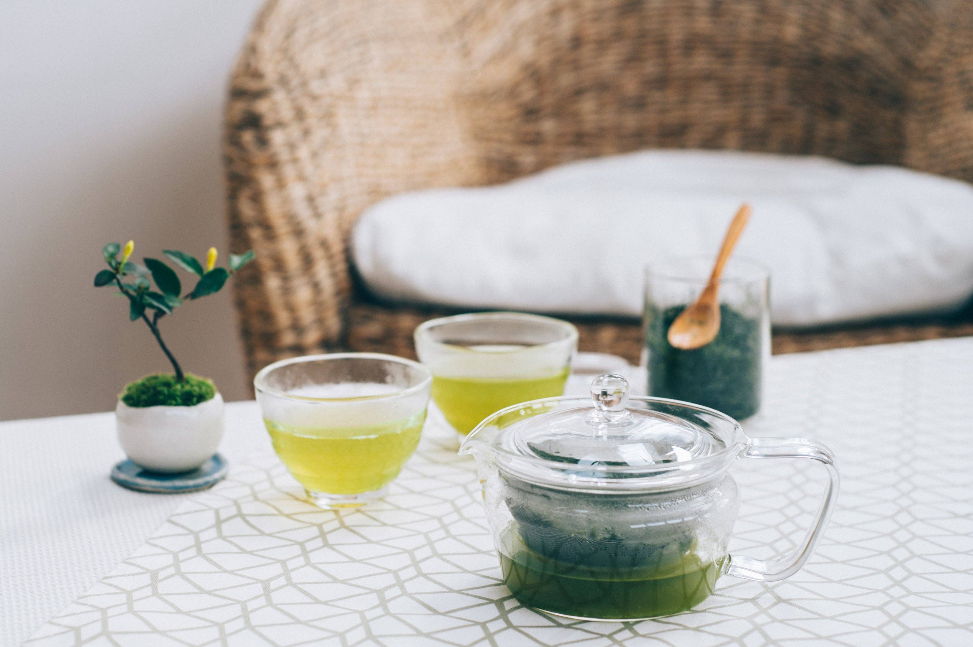 ChaCha Kyusu "Zen" Tea Pot by HARIO