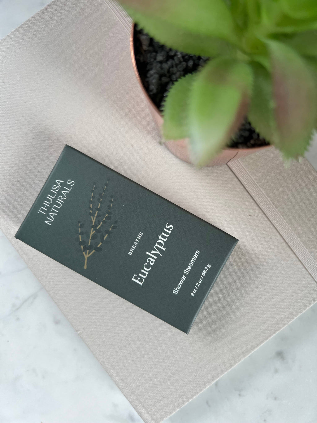 Eucalyptus Mint Shower Steamers by Thulisa Naturals