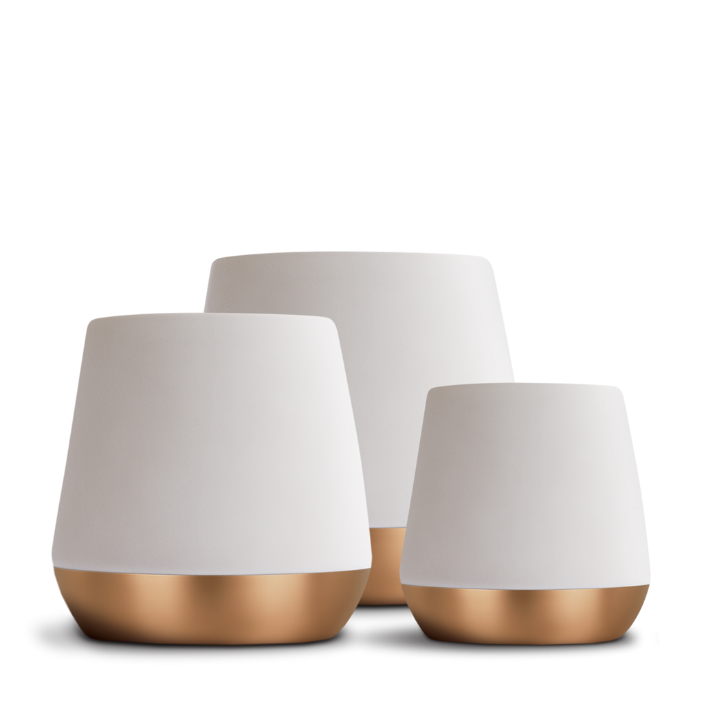 Joey Double Wall Ceramic Mug by FELLOW