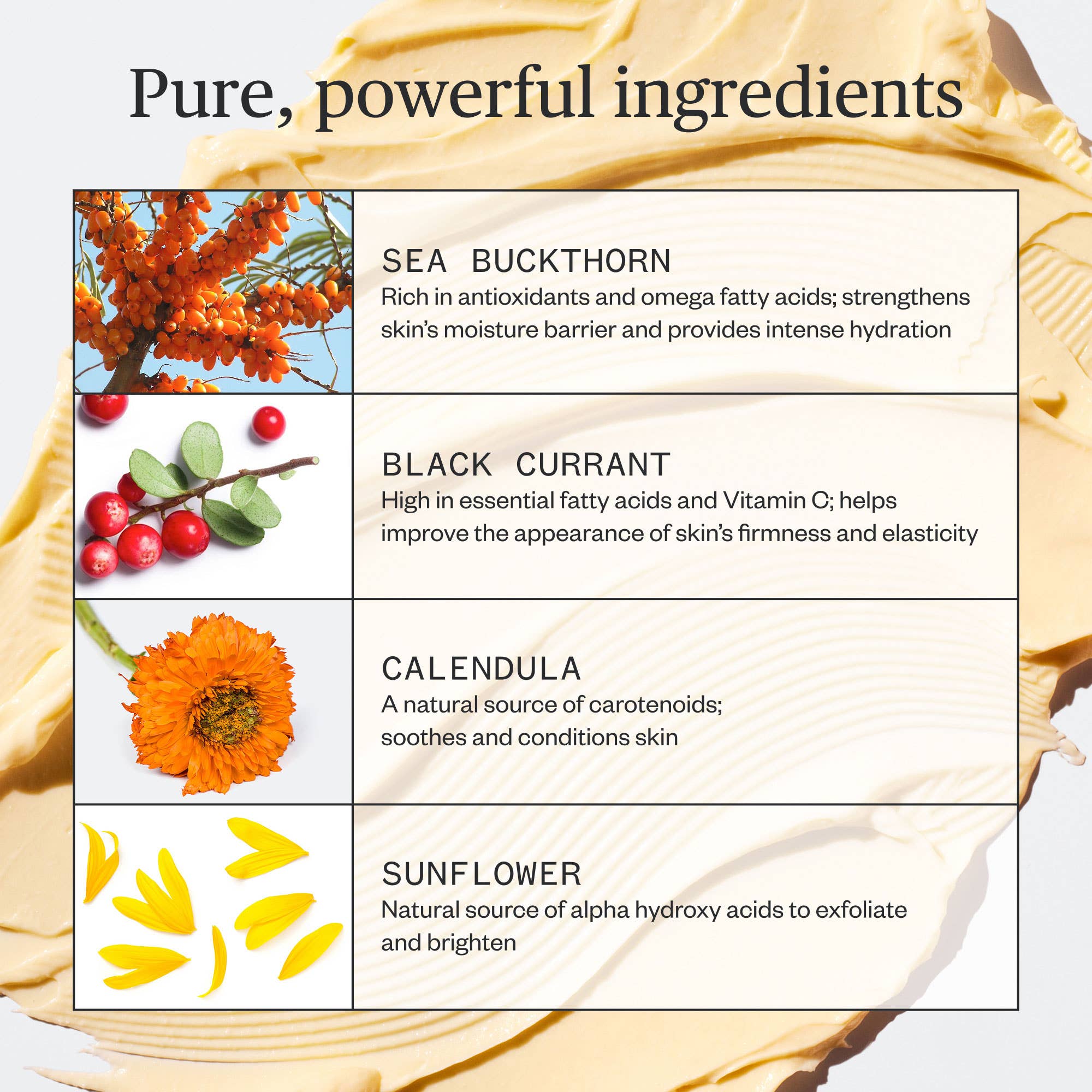 Golden Hour Recovery Cream by Ursa Major