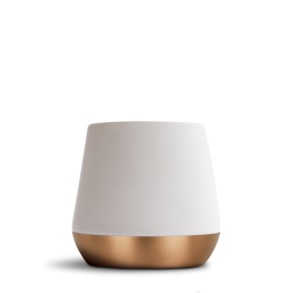 Joey Double Wall Ceramic Mug by FELLOW